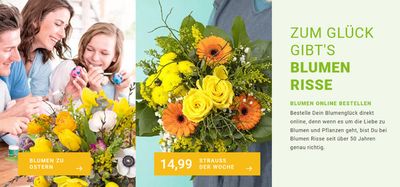 Angebote von Baumärkte und Gartencenter in Hamburg | ANGEBOTE Blumen Risse in Blumen Risse | 27.3.2024 - 31.3.2024