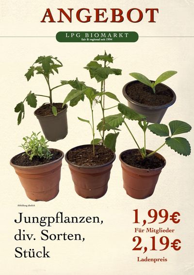 LPG Biomarkt Katalog in Berlin | Garten & Balkon | 11.4.2024 - 25.4.2024