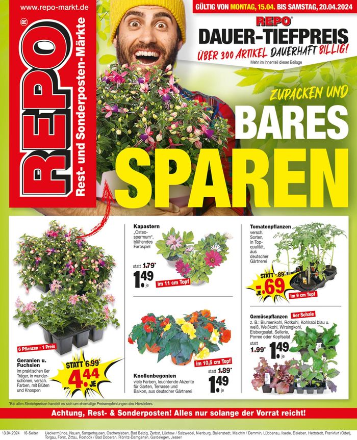 Repo Markt Katalog in Ballenstedt | Repo Markt katalog | 14.4.2024 - 28.4.2024