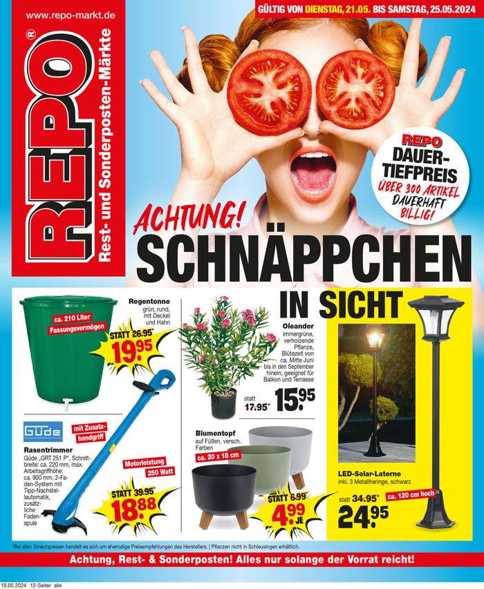 Repo Markt Katalog in Blankenburg (Harz) | Jetzt sparen mit unseren Deals | 19.5.2024 - 2.6.2024