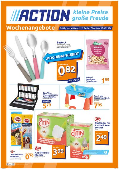 Angebote von Kaufhäuser in Westerstede | Action katalog in Action | 12.6.2024 - 18.6.2024