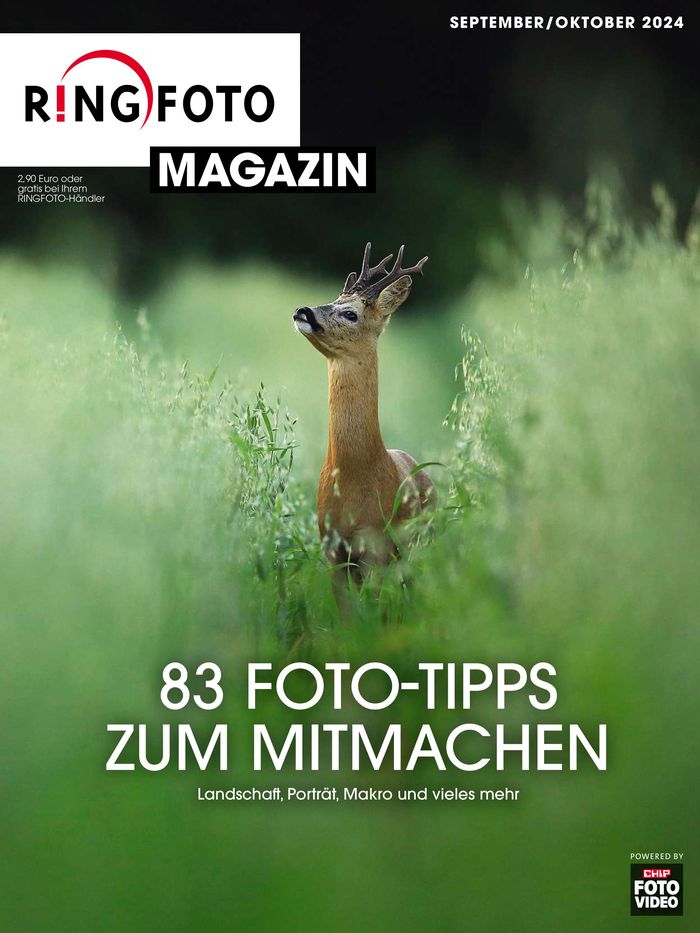 Ringfoto Katalog in Hamburg | 83 Foto-Tipps Zum Mitmachen | 10.9.2024 - 31.10.2024