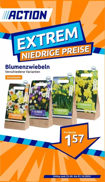 Angebote von Kaufhäuser in Asbach-Bäumenheim | Action flugblatt in Action | 26.9.2024 - 10.10.2024