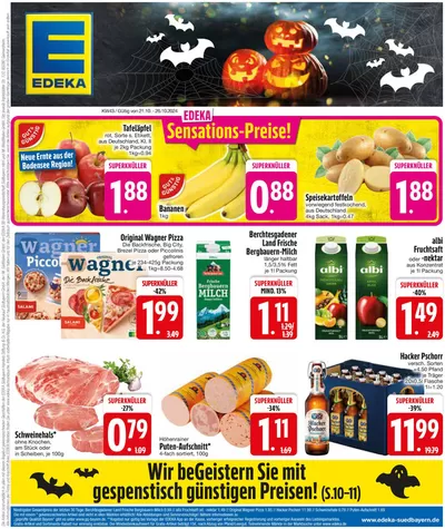 EDEKA Katalog in Regensburg | Top-Angebote für Sparfüchse | 20.10.2024 - 26.10.2024