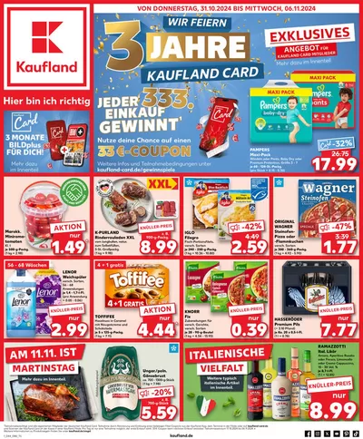 Kaufland Katalog in Speyer | Tolles Angebot für Schnäppchenjäger | 31.10.2024 - 6.11.2024