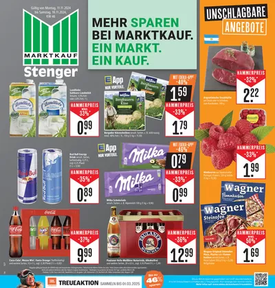 Marktkauf Katalog in Aschaffenburg | Jetzt sparen mit unseren Deals | 10.11.2024 - 24.11.2024