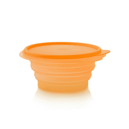 Mini-Max® 700 ml orange für 12,9€ in Tupperware