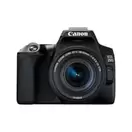 EOS 250D + Objektiv 18-55MM IS STM schwarz Spiegelreflexkamera für 799€ in expert Techno Land