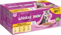 Whiskas Katzen-Nassfutter Portionsbeutel Multipack Junior Geflügel Auswahl in Gelee 40x85g für 13,99€ in Raiffeisen Markt
