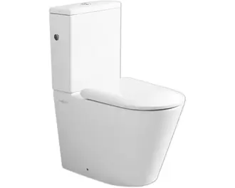 Jungborn spülrandlose WC-Kombination FLORIEL/ONE 64 weiß mit WC-Sitz und Absenkautomatik für 298€ in Hornbach