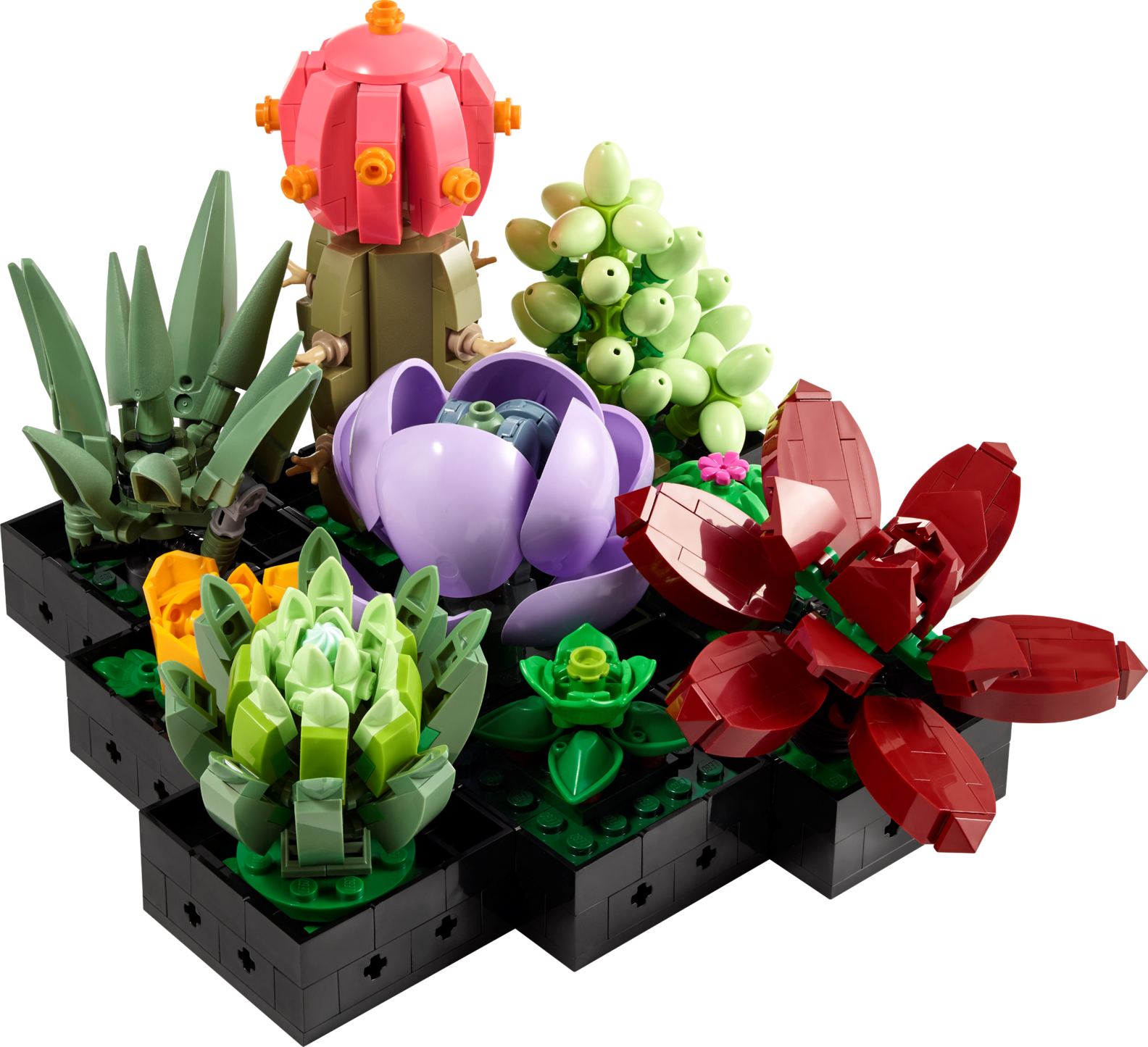 Sukkulenten für 49,99€ in Lego