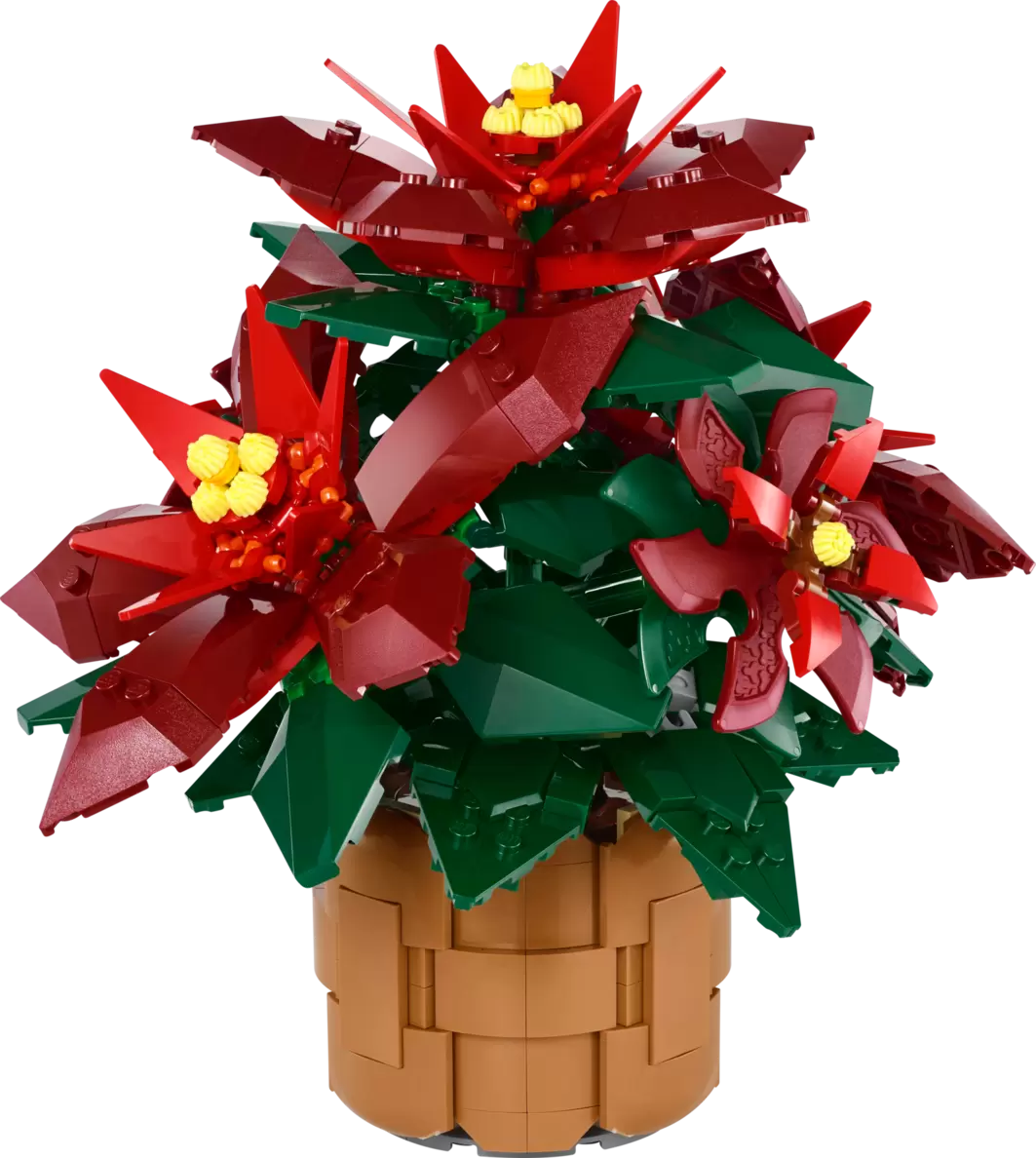 Weihnachtsstern für 49,99€ in Lego