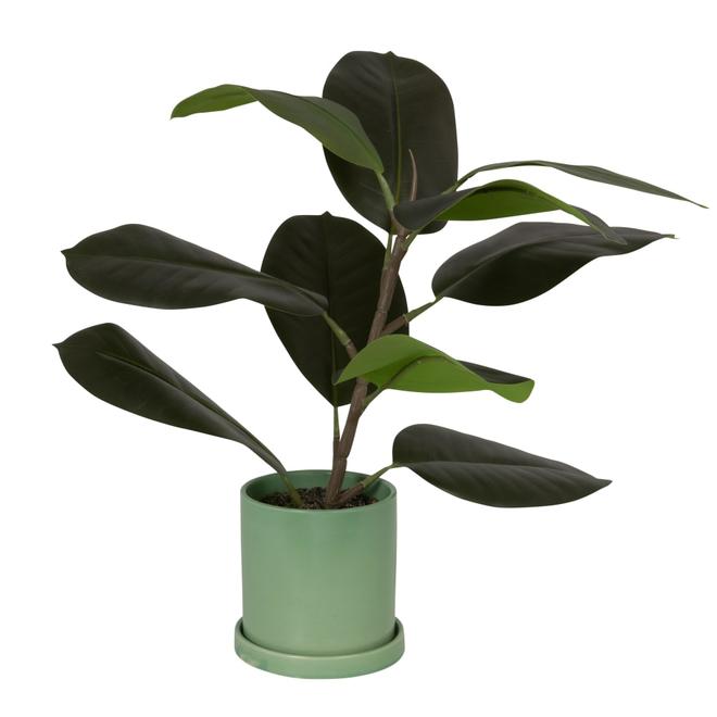 Plante artificielle et pot en grès vert für 34,99€ in Maisons du Monde