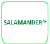 Logo Salamander Schuhe